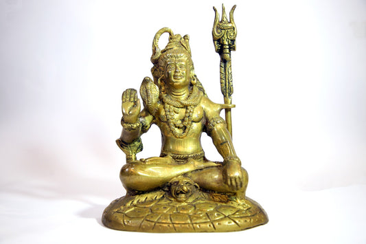 Meditation Shiva